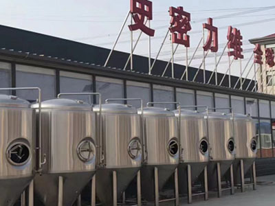 东营精酿啤酒设备厂—市场规模与跨界新需求